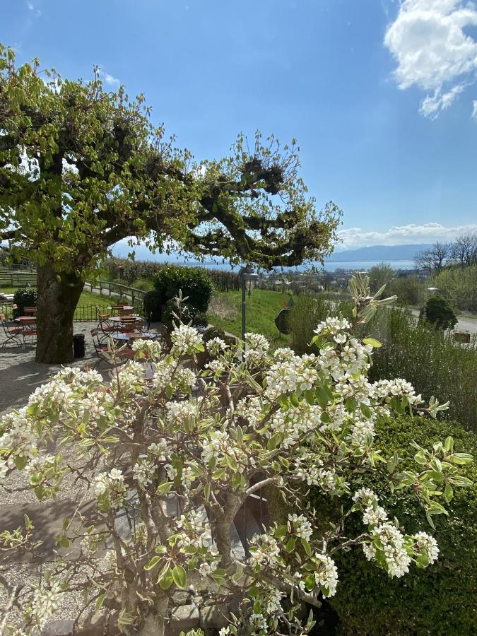 Hotel Montfort-Schloessle Lindau  Bagian luar foto