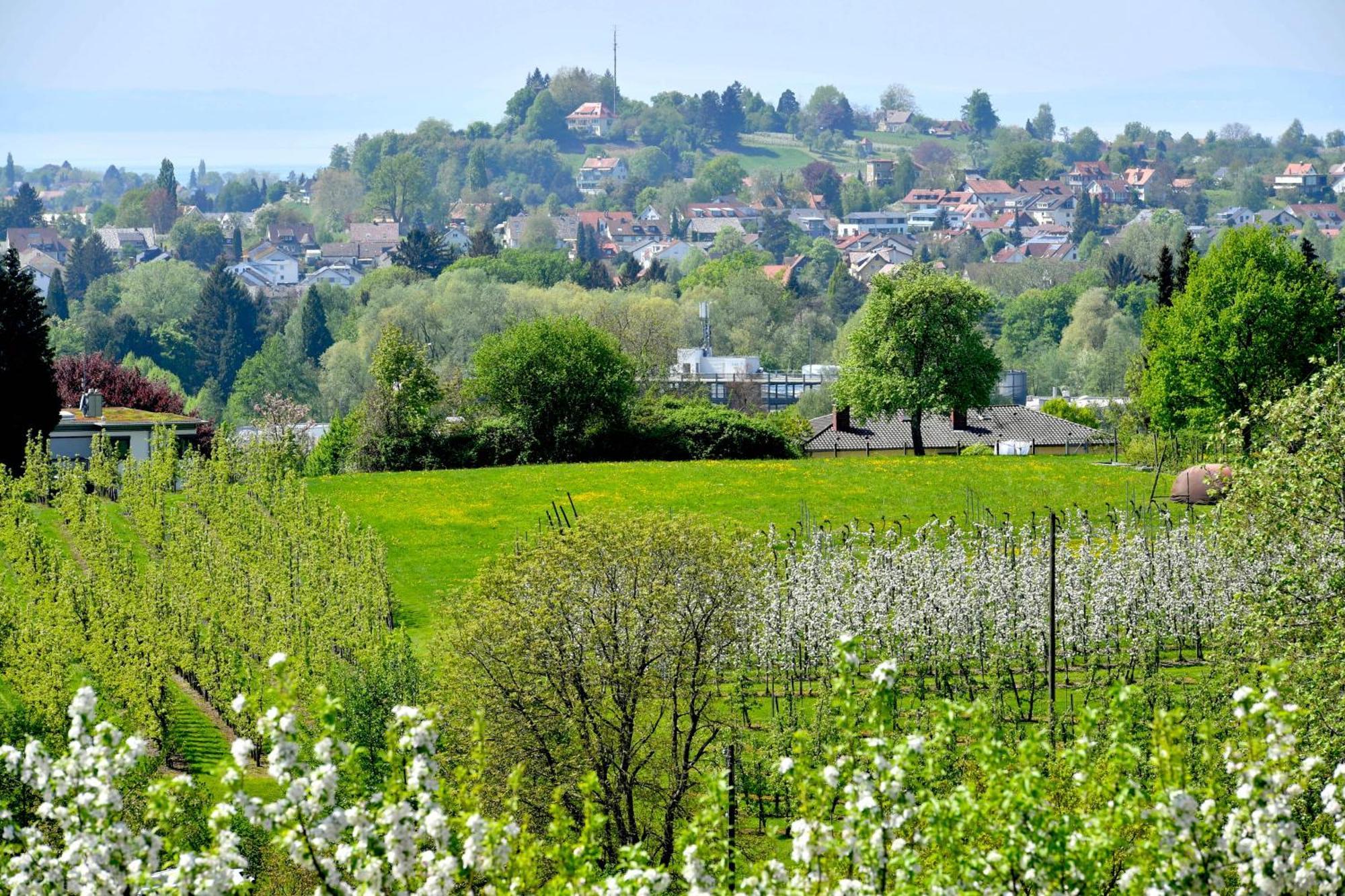 Hotel Montfort-Schlossle Lindau  Ruang foto